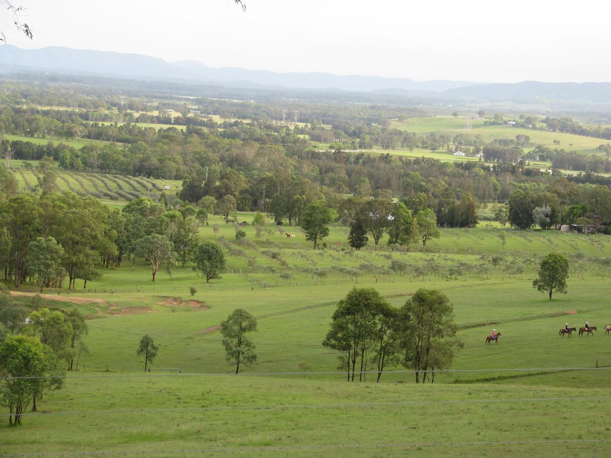 Hill Top Country Guest House Lovedale Exteriér fotografie