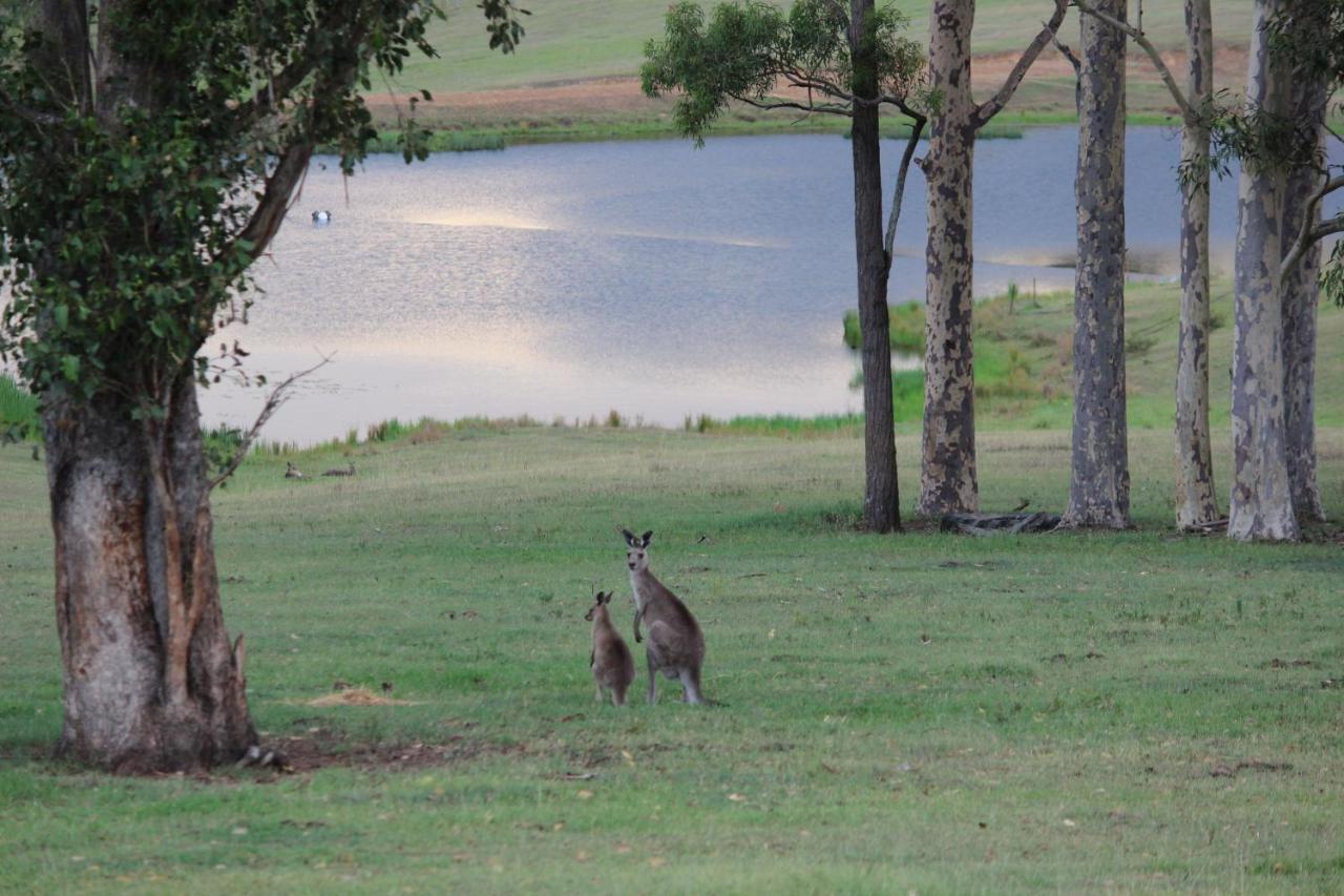 Hill Top Country Guest House Lovedale Exteriér fotografie