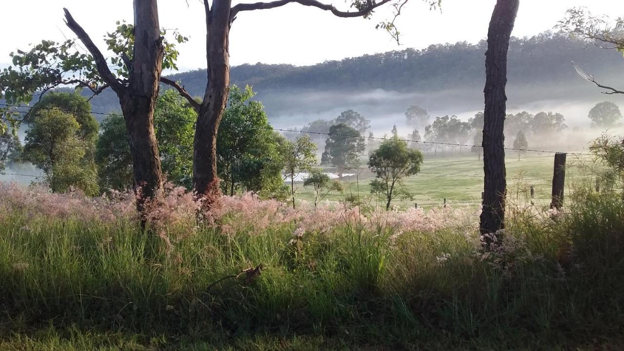 Hill Top Country Guest House Lovedale Exteriér fotografie